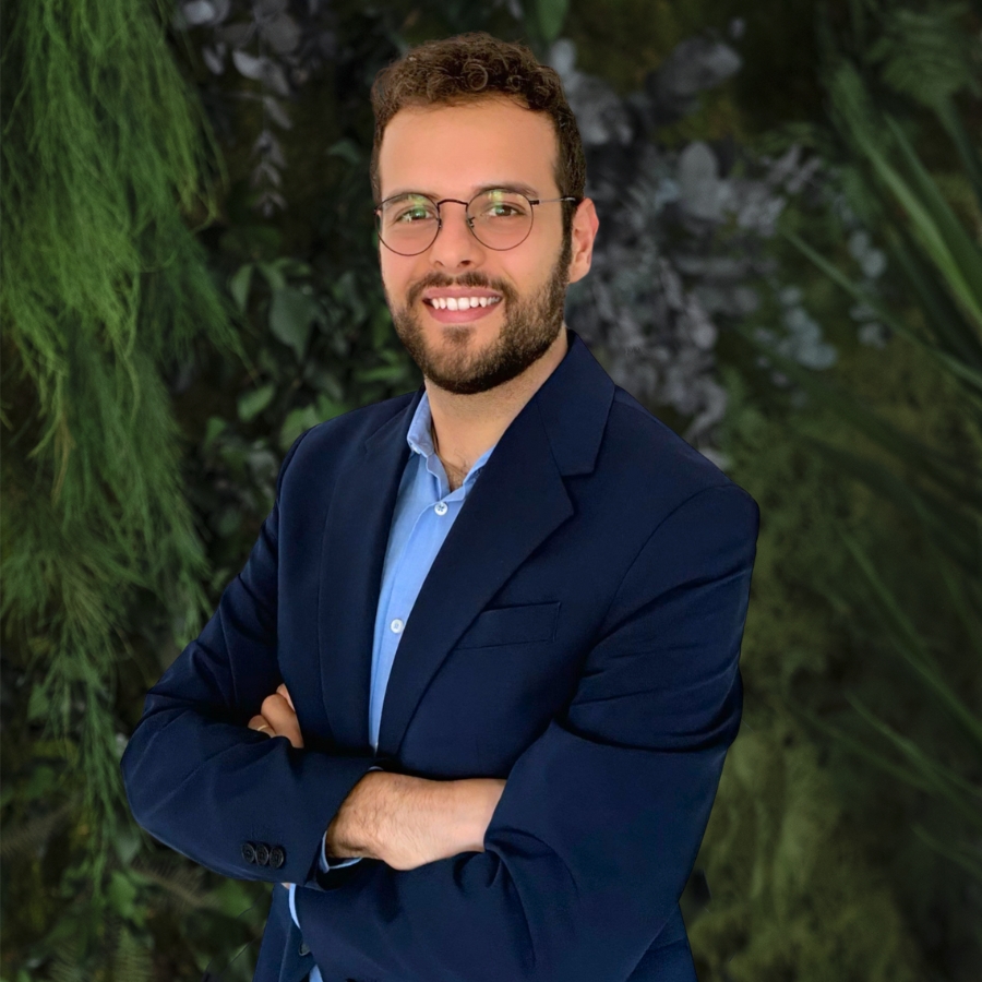 Fabio Ferrari - Senior Consultant Lenovys